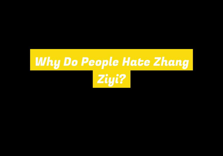 Why Do People Hate Zhang Ziyi?