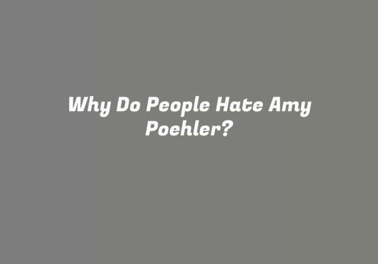 Why Do People Hate Amy Poehler?