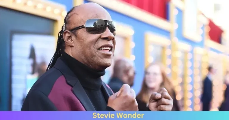 Why Do People Love Stevie Wonder?
