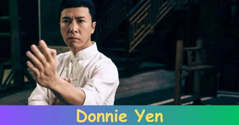 Why Do People Hate Donnie Yen?