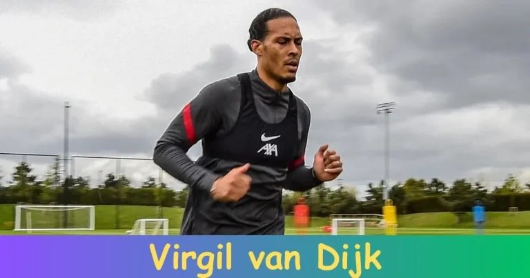 Why Do People Hate Virgil van Dijk?