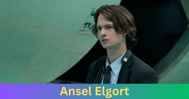 Why Do People Hate Ansel Elgort?
