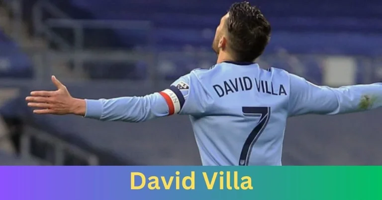 Why Do People Love David Villa?