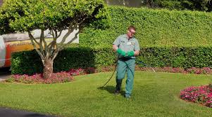 How to Choose the Best Lawn Services in Pompano Beach